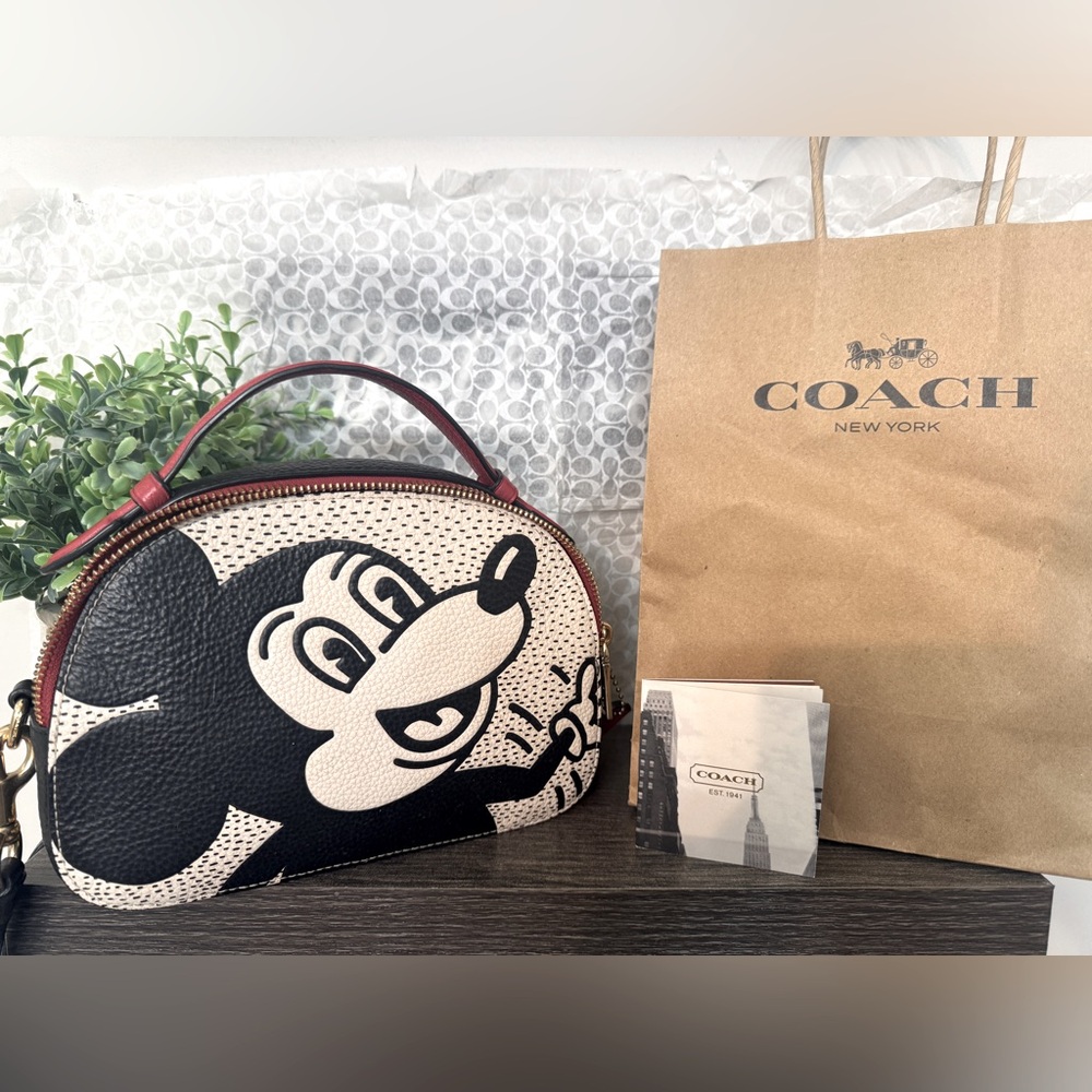 Coach Mickey Mouse X Keith Haring Serena Satchel ❤️